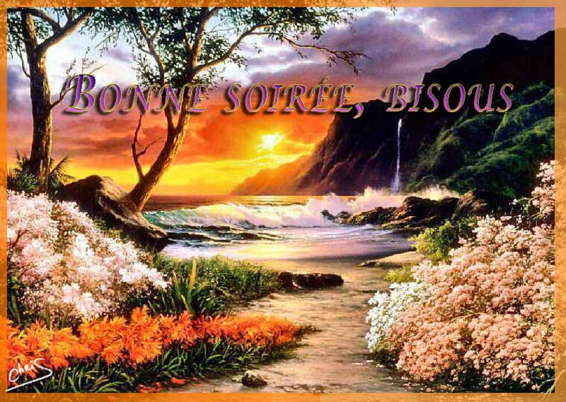 BONNE SOIREE de VENDREDI ! G80azj85-4472b97