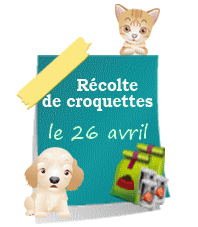 Recolte croquettes